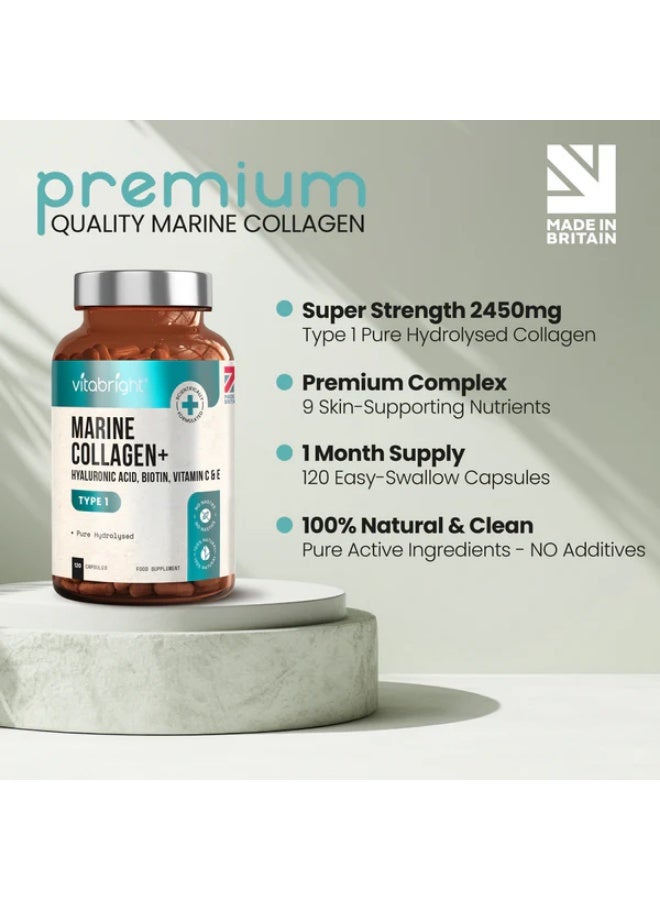 فيتابرايت كبسولات الكولاجين البحري المتحلل مائيًا بتركيز 2331 ملغ مع حمض الهيالورونيك | مكمل مركب كولاجين يحتوي على 9 عناصر غذائية | 120 كبسولة لدعم صحة البشرة والشعر والأظافر والعظام والمفاصل. - Image 3
