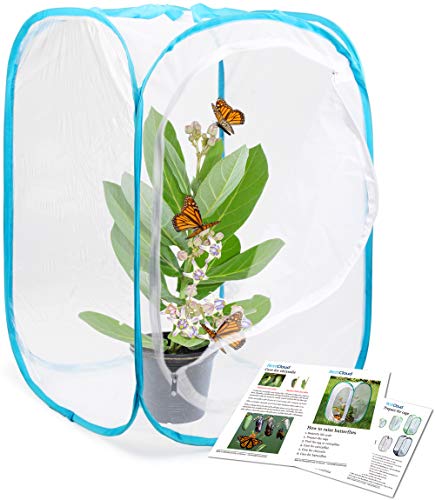 RESTCLOUD Insect and Butterfly Habitat Cage Terrarium Popup 24 Inches Tall - Image 1