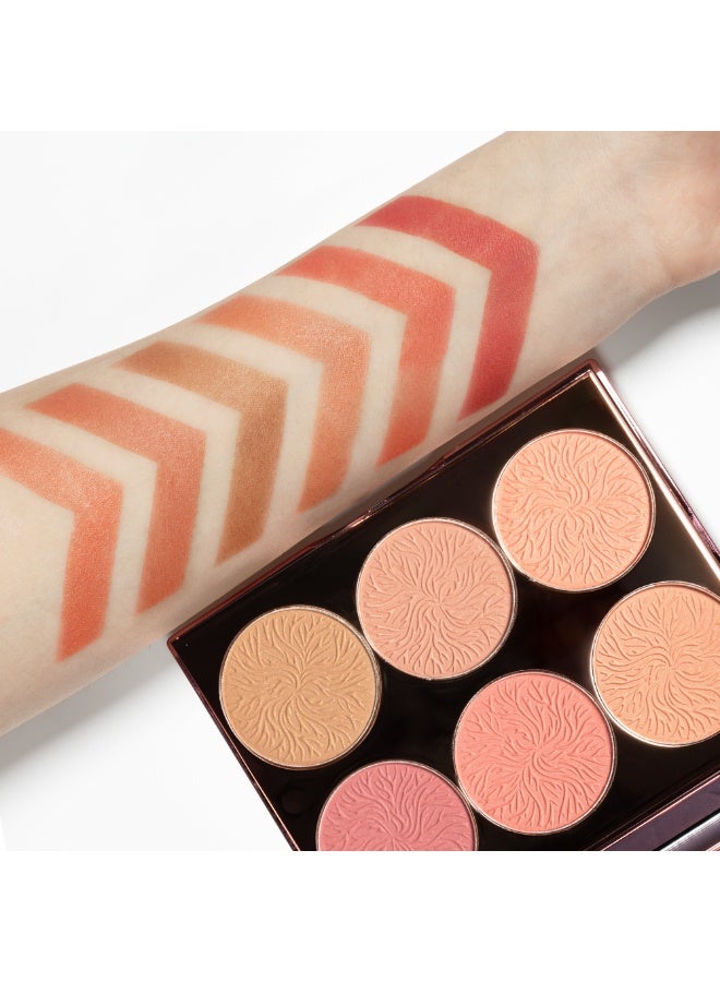 فيوتشر ميكاب منتجات فيوتشر ميك اب لوحة أحمر الخدود من 6 ألوان - Image 4