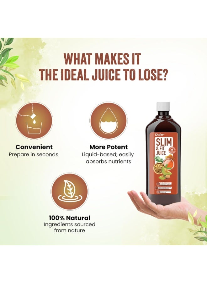 Dabur Slim & Fit Juice - 1L | 100% Natural & Ayurvedic | No Artificial Colours, Sugars & Flavours - Image 2