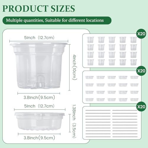 Bluepro 20 Pack 5 Inch Clear Self Watering Plant Pots with Bottom Water Tray & Watering Rope, Transparent Nursery Pots with Drainage for Seedlings, Herbs, and Houseplants - Image 2