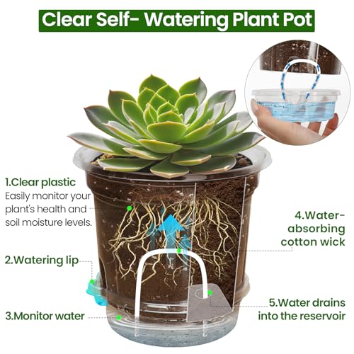 Bluepro 20 Pack 5 Inch Clear Self Watering Plant Pots with Bottom Water Tray & Watering Rope, Transparent Nursery Pots with Drainage for Seedlings, Herbs, and Houseplants - Image 4