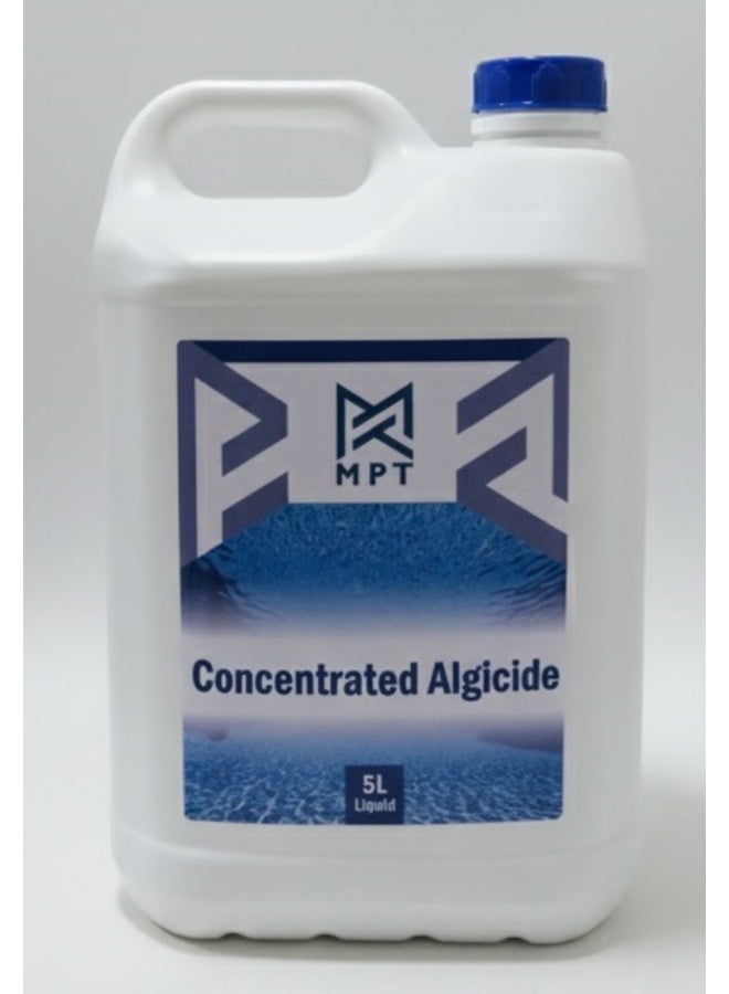 PROTECTOR Algicide - 5 Liters