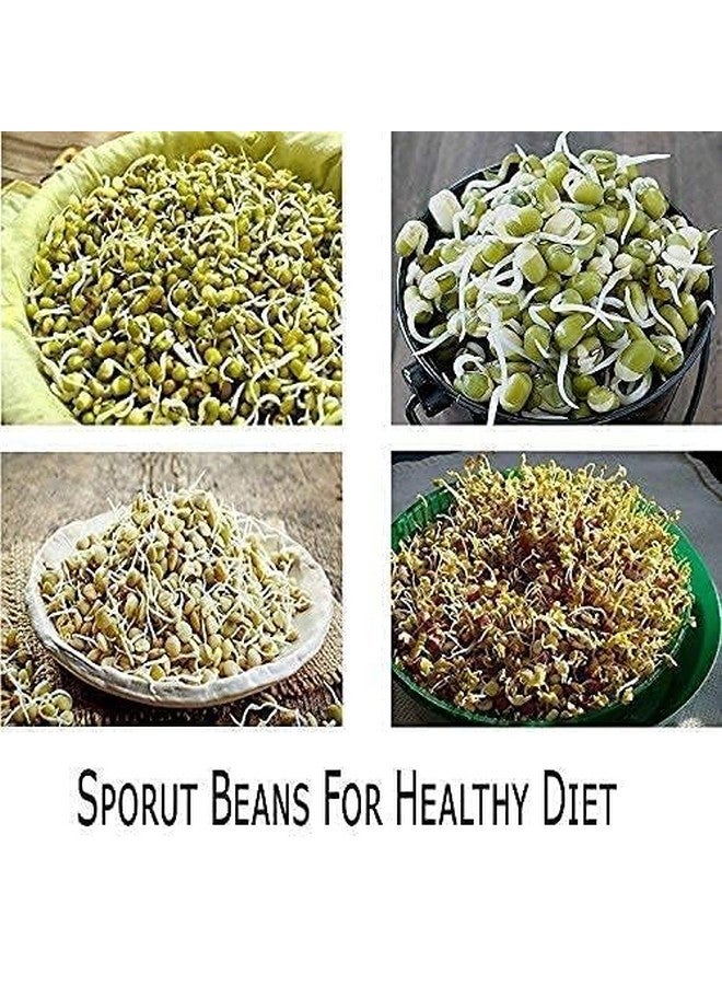 Stewit صانع براعم ستيويت مع 4 حجرات للاستخدام المتعدد - حاوية تسوق بلاستيكية للبذور والحبوب المنبتة (500 مل، 4 طبقات) - Image 4