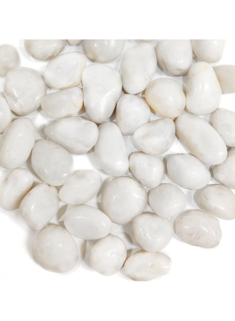 RR BRAND Decorative White Pebbles Polished Rocks Stones 3 to 4 CM 1.5KG for Aquarium Gravel,Fish Turtle Tank,Outdoor Indoor Succulents Plants Top Dressing,Graden Landscaping - Image 1