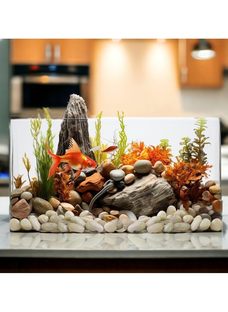 RR BRAND Decorative White Pebbles Polished Rocks Stones 3 to 4 CM 1.5KG for Aquarium Gravel,Fish Turtle Tank,Outdoor Indoor Succulents Plants Top Dressing,Graden Landscaping - Image 3