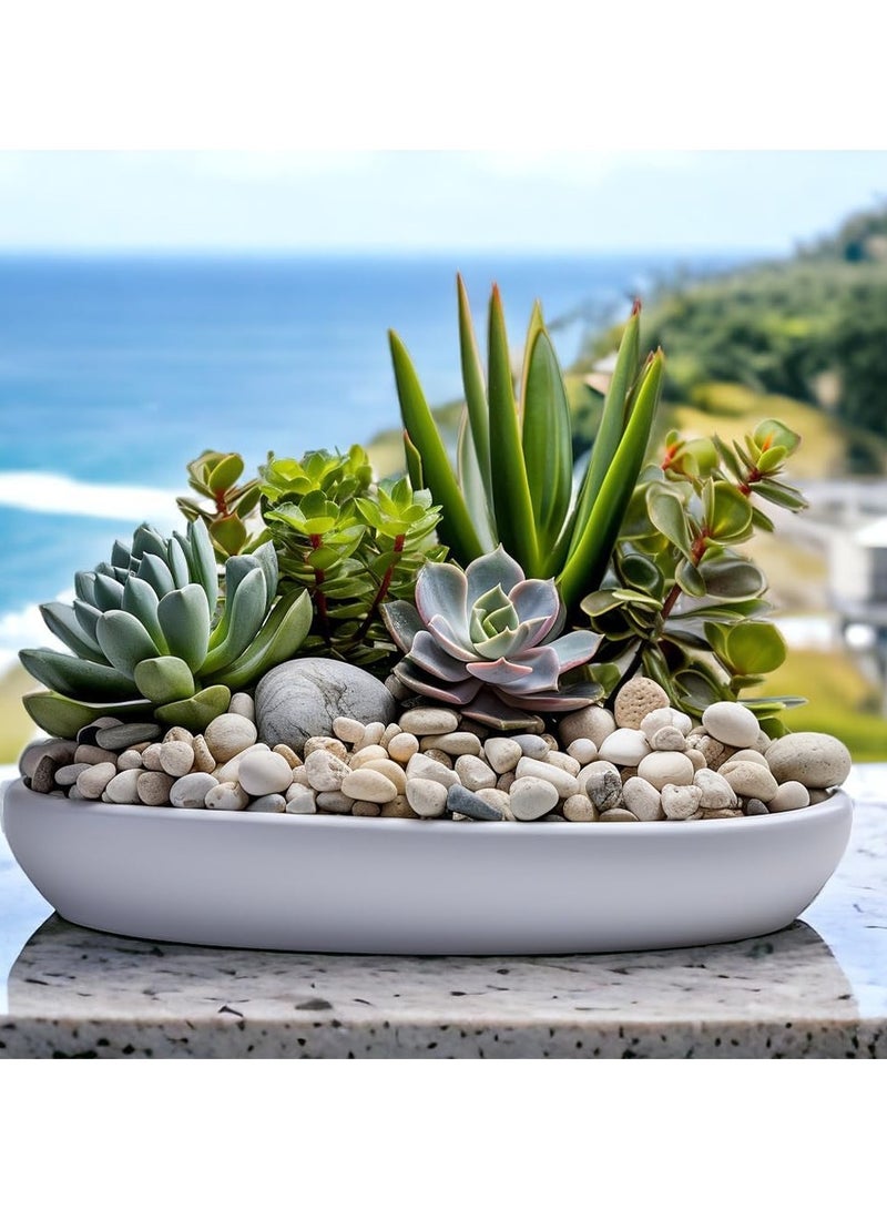 RR BRAND Decorative White Pebbles Polished Rocks Stones 3 to 4 CM 1.5KG for Aquarium Gravel,Fish Turtle Tank,Outdoor Indoor Succulents Plants Top Dressing,Graden Landscaping - Image 4