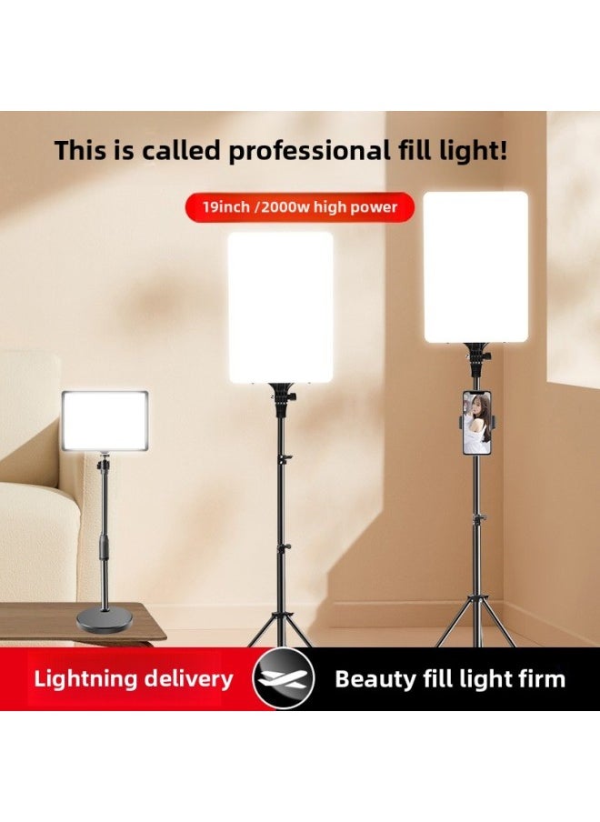 Generic 900w Studio Light Fill Light Photography Photo Anchor Beauty Chin Led Professional Food Light-Specifications:24inch [4500w Flagship Exclusive Model] Single Camera + 2m Floor Stand  - Image 2