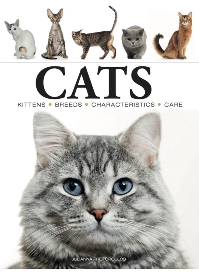 Cats - Paperback