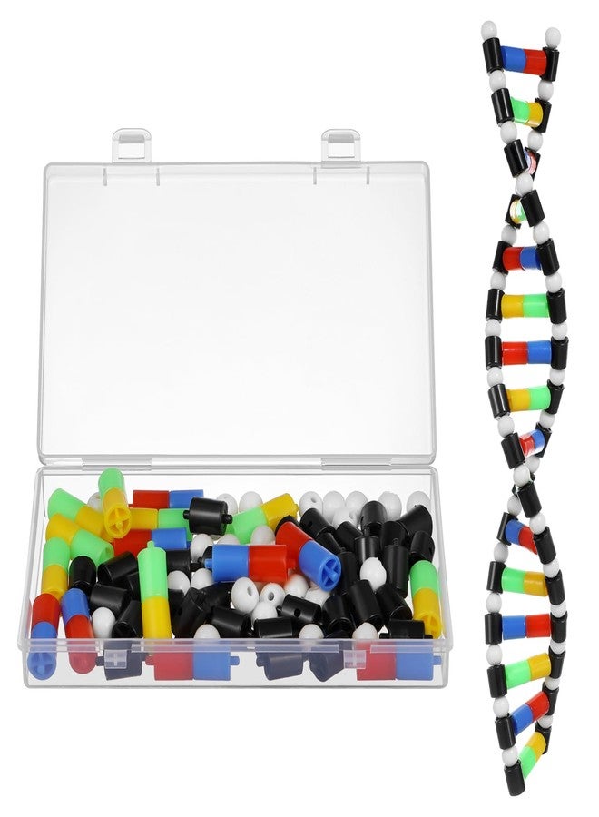 TOYANDONA DNA Model Kit, DNA Double Helix Structure Model DNA Double Helix Model for School Student Science Teaching Educational Learning - Image 1