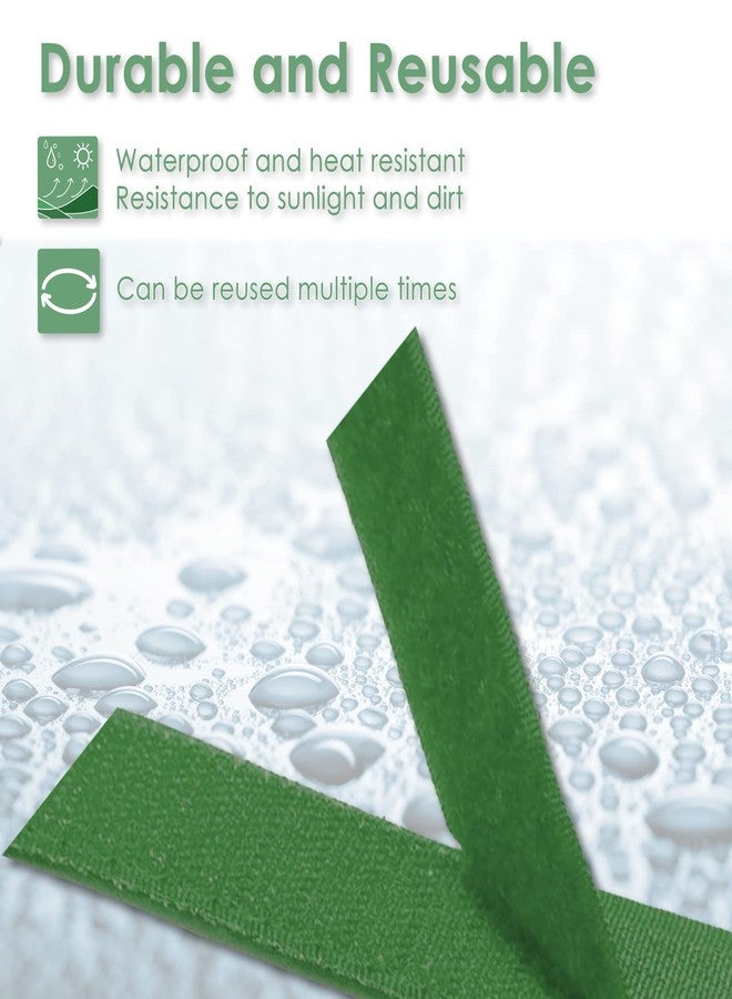 شريط ربط أخضر للحدائق من بلانتاكتيك، دعامات نباتية، لطيف على النباتات (16.4 قدم × 0.6 بوصة، لفة واحدة، أخضر) - Image 3