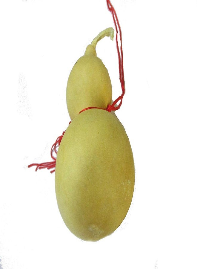 RIPE INDIA® رمز الصحة Feng Shui Wu Lou Fengshui Calabash