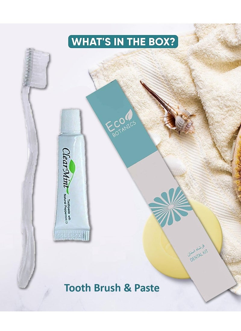 Bulk Set Transparent Travel-Size Hotel Dental Kit Set