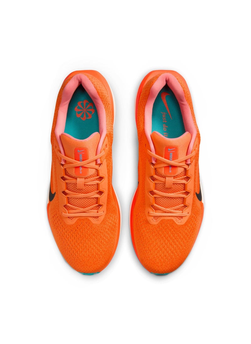 Nike - Air Winflo 11 - Image 1