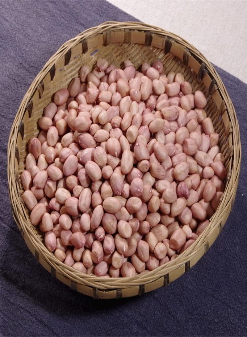 جي جوت 30 قطعة من بذور الفول السوداني سهلة العناية بأنواع الخضروات الضرورية للتجمعات العائلية، عمر اقتصادي طويل وتأثير بيئي جيد - Image 2