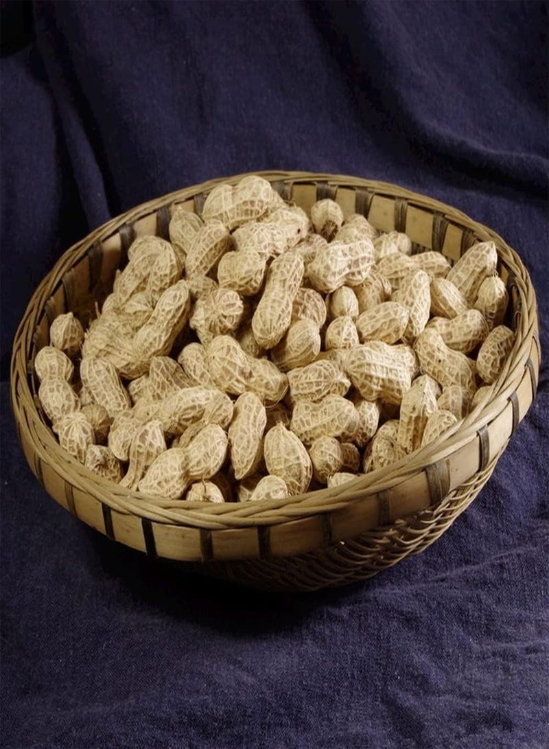 جي جوت 30 قطعة من بذور الفول السوداني سهلة العناية بأنواع الخضروات الضرورية للتجمعات العائلية، عمر اقتصادي طويل وتأثير بيئي جيد - Image 3