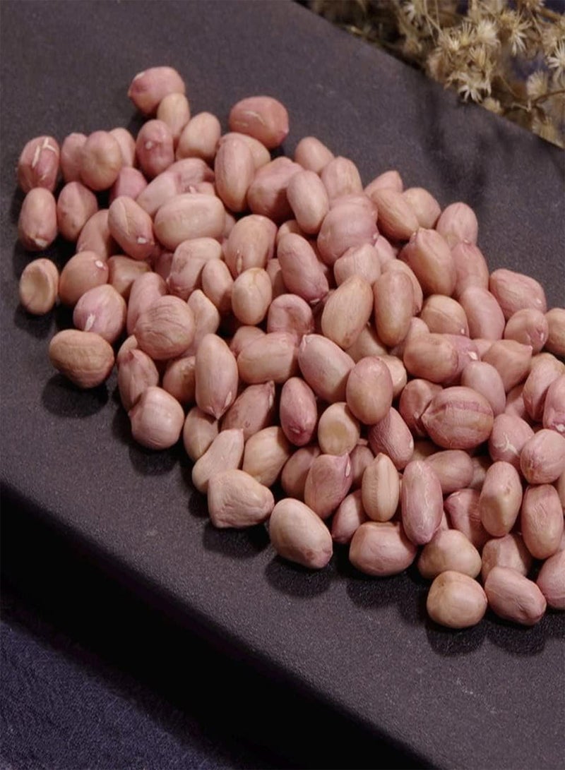 جي جوت 30 قطعة من بذور الفول السوداني سهلة العناية بأنواع الخضروات الضرورية للتجمعات العائلية، عمر اقتصادي طويل وتأثير بيئي جيد - Image 1