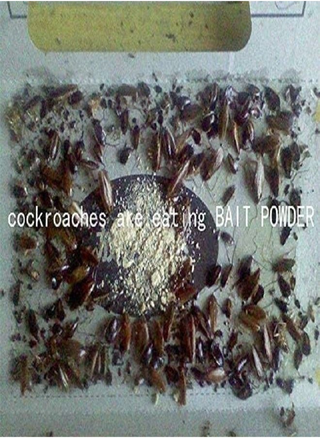 Generic - Highly Effective Cockroach Killer Bait Powder 6g - Image 1