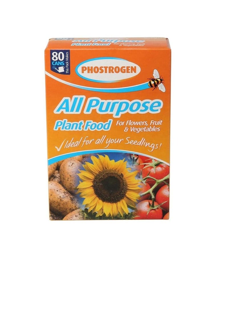 Phostrogen Plant Food 800 gms - Image 2