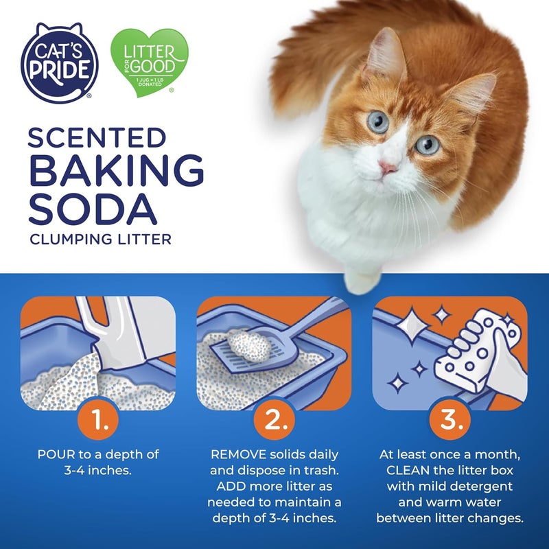 Cat`s Pride Lightweight Clumping Litter: Baking Soda - Powerful Odor Control - Scented, 10 Pounds - Image 5