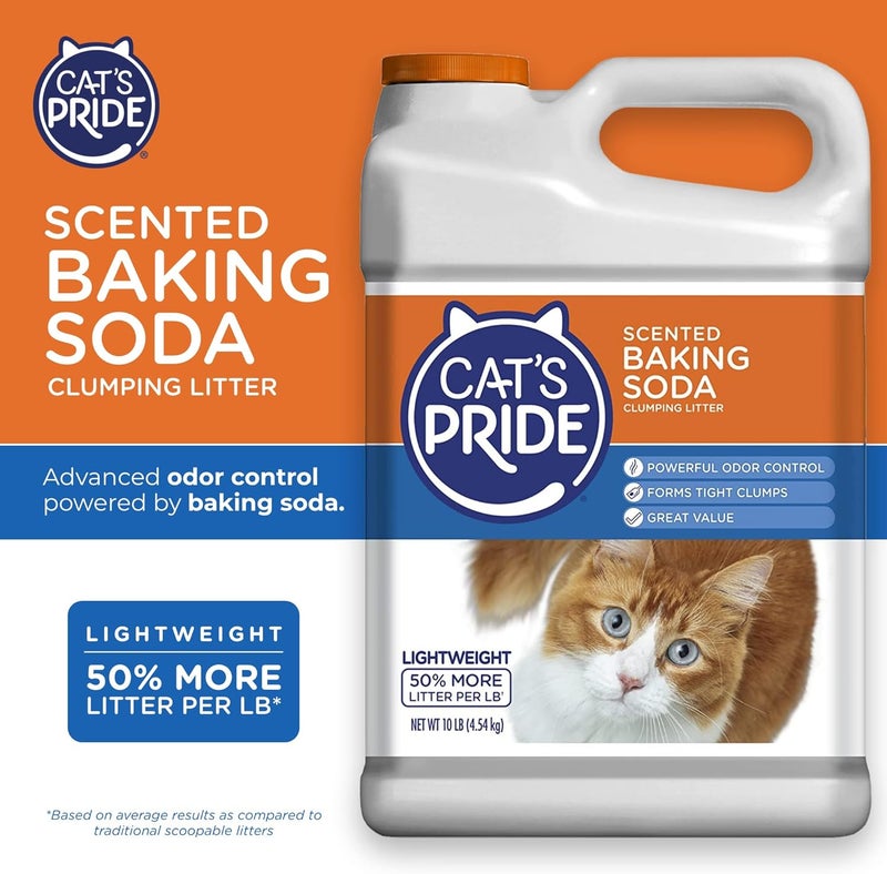 Cat`s Pride Lightweight Clumping Litter: Baking Soda - Powerful Odor Control - Scented, 10 Pounds - Image 2