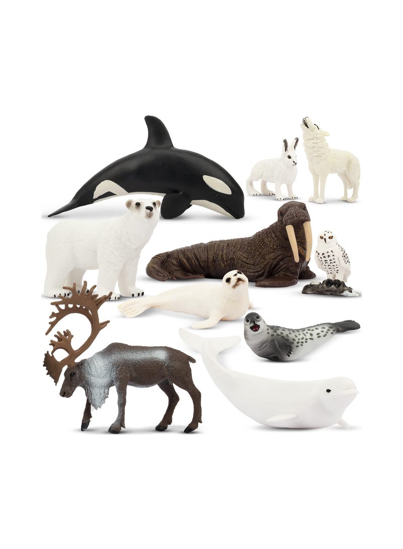 Zikra 10Pcs Realistic Polar Animal Figurines Plastic Arctic Set Includes Bear Caribou Whales Walrus Cake Toppers Birthday Toy Gift for Kids Toddlers - Image 1