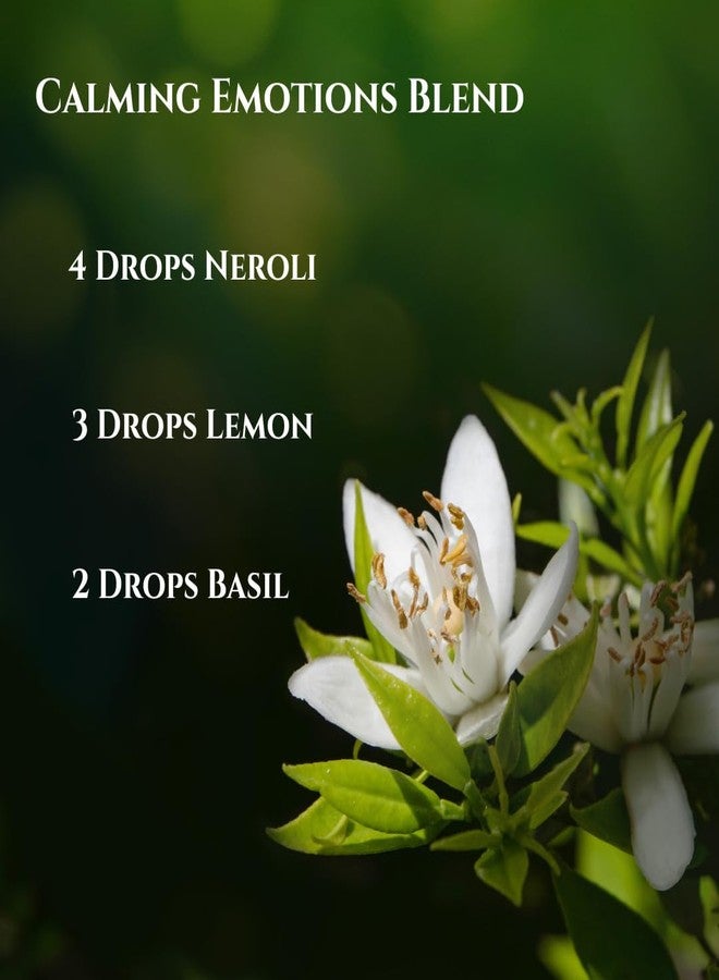 SenseLAB Neroli Essential Oil - 100% Pure Extract Neroli Oils - Therapeutic Grade Essential Oils - Oil Skin - Oil Hair - Oil Diffuser - Tree Oil Essential Oil (10 ml - Image 3