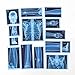 Odoorgames 21 Pieces XRay Sets of Human Skeleton Human Nerves Human Blood Vessels and Human Lymphatic Xray for Light Table - Image 3