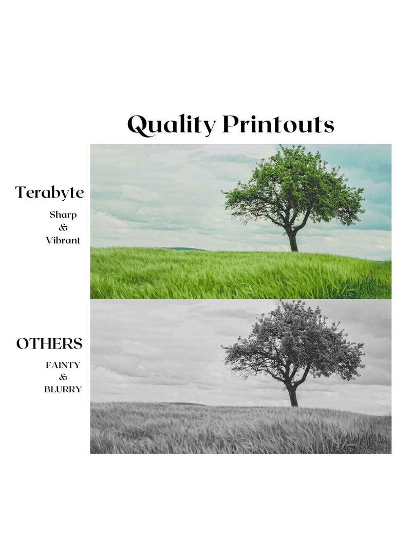 Terabyte CLT207S CYAN COMPATIBLE TONER TERABYTE - Image 2