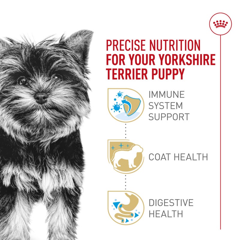 Royal Canin Breed Health Nutrition Yorkshire Terrier Puppy Dry Dog Food, 2.5 lb Bag - Image 3