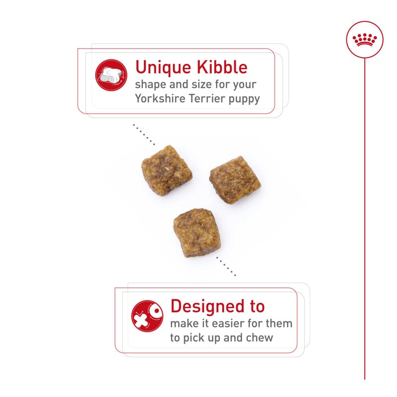 Royal Canin Breed Health Nutrition Yorkshire Terrier Puppy Dry Dog Food, 2.5 lb Bag - Image 2