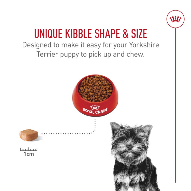 Royal Canin Breed Health Nutrition Yorkshire Terrier Puppy Dry Dog Food, 2.5 lb Bag - Image 4
