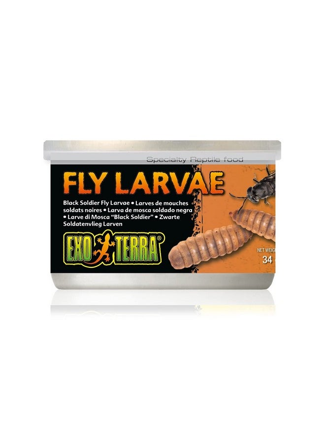 Exo Terra Exo Terra Specialty Reptile Food, Canned Black Soldier Fly Larvae for Reptiles 
