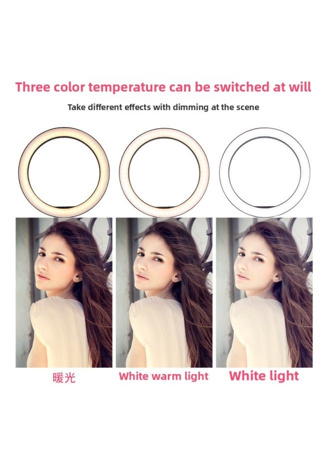 Generic - Spot Led Ring Light Mobile Phone Selfie Live Network Red Anchor Round Fill Light Photography Bracket Shooting-Color:210cm Bracket +26cm Fill Light + Dual Machine Position - Image 1