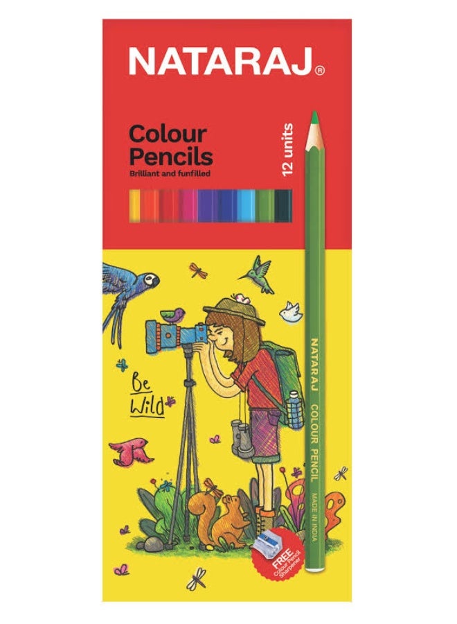 Full-size erasable pen from Nataraj – 12 colors