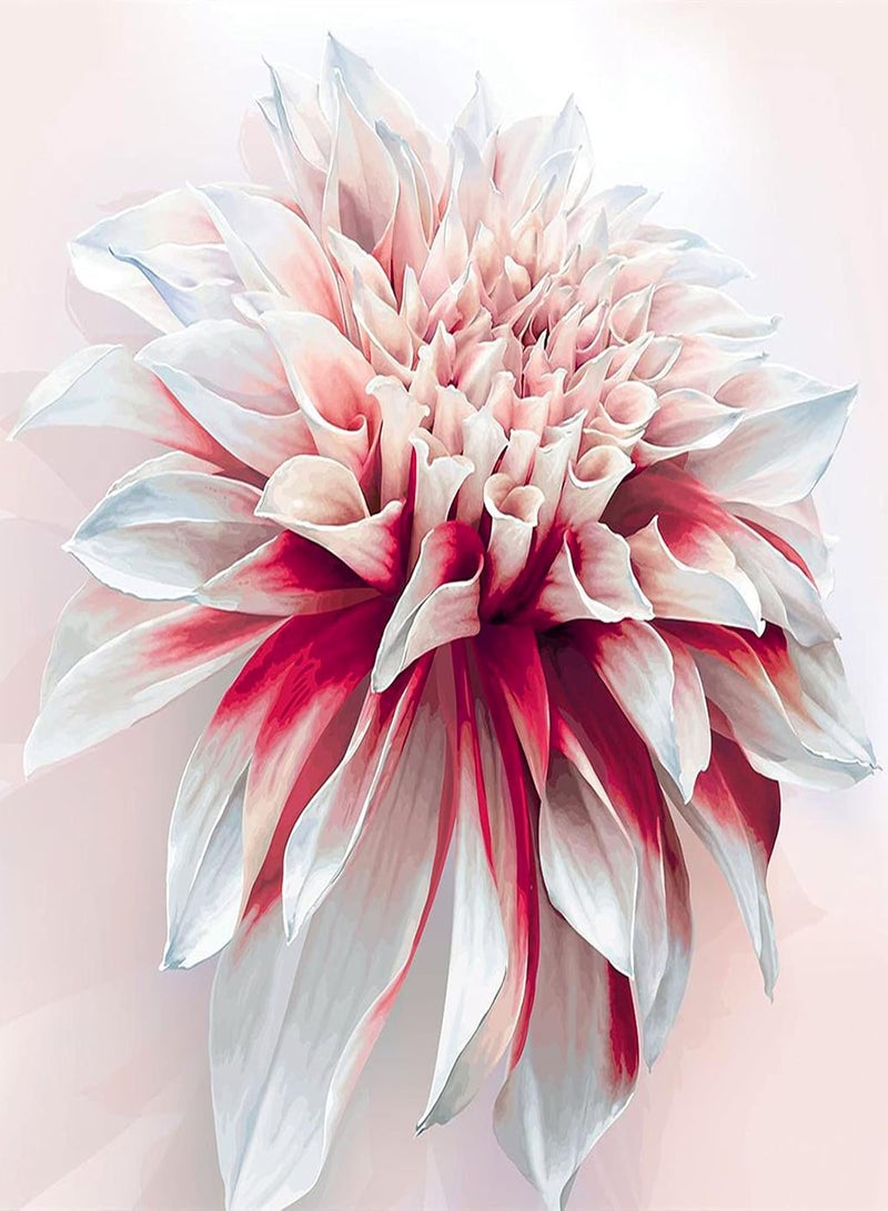 جي جوت بذور الداليا/ازهر الزهور التي تريدها/مقاومة قوية للبرد/بذور زهور عملاقة/بذور زهور فريدة - 200 قطعة، د - Image 1