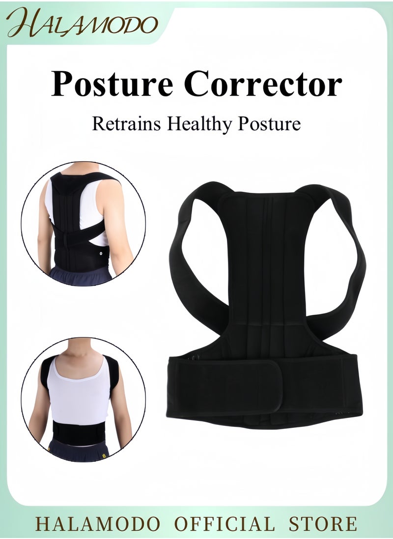 HALAMODO Back Support Brace Relieves Lower Back Pain Comfortable and Breathable Design Fits All Body Types Helps Improve Posture  - Image 1