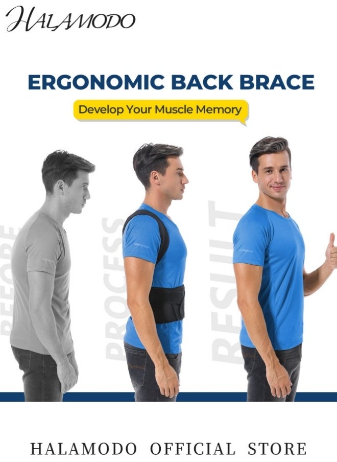 HALAMODO Back Support Brace Relieves Lower Back Pain Comfortable and Breathable Design Fits All Body Types Helps Improve Posture  - Image 2