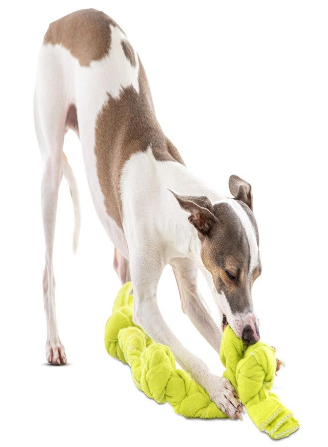 GURU Pet: Squeaking Tennis Snuffle Rope - 12" Small - Dog Toy, Squeak-Snuffle-Tug, Braided & Knotted, 2 Layer Tennis Ball Fabric, Treat Dispensing - Image 5