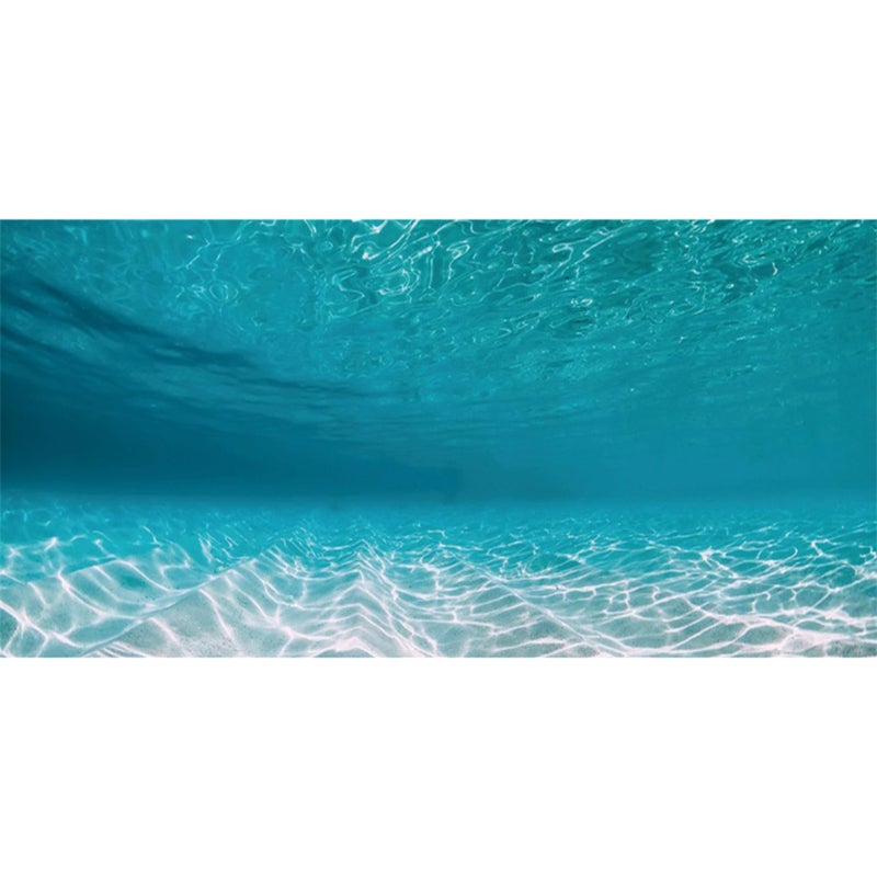 AWERT 48x24 inches Undersea Aquarium Background Pool Ocean Floor Aquarium Background Underwater Fish Tank Background - Image 1