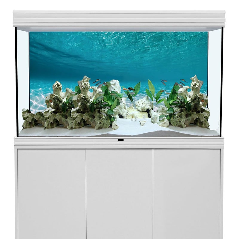 AWERT 48x24 inches Undersea Aquarium Background Pool Ocean Floor Aquarium Background Underwater Fish Tank Background - Image 5