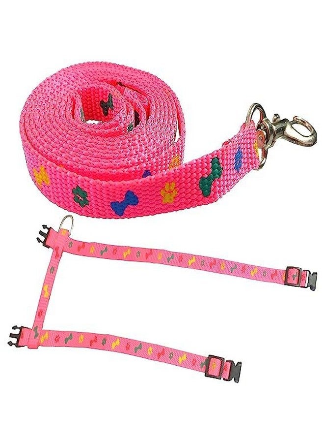 طقم حزام من النايلون للقطط الصغيرة والحيوانات الأليفة الصغيرة | حزام تدريب القطط (مطبوع عليه مخلب باللون الوردي) - Image 3