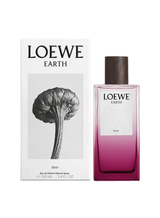 Earth EDP 100ml Unisex
