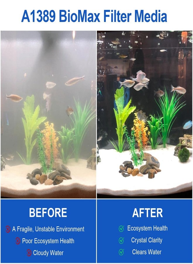 Antrys 1.5 oz Biomax Filter Media Renewal Kit for Fluval EDGE Aquariums, A1389 Bio Max Ceramic Rings & Foam Blocks Filter Media-Provides Stage Three Biological Filtration for Fish Tank Water Clarity - 3 Pack - Image 5