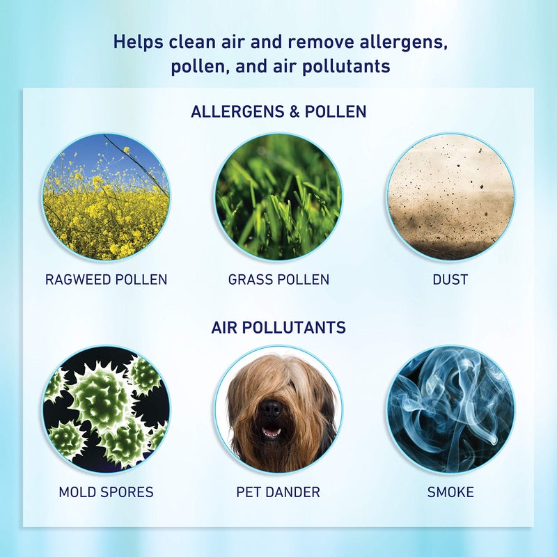 Holmes فلتر بديل لرماد السجائر هولمز سموك جرايبر، فلتر كربون بديل، عبوة من 2، HAPF7-U8 - Image 2