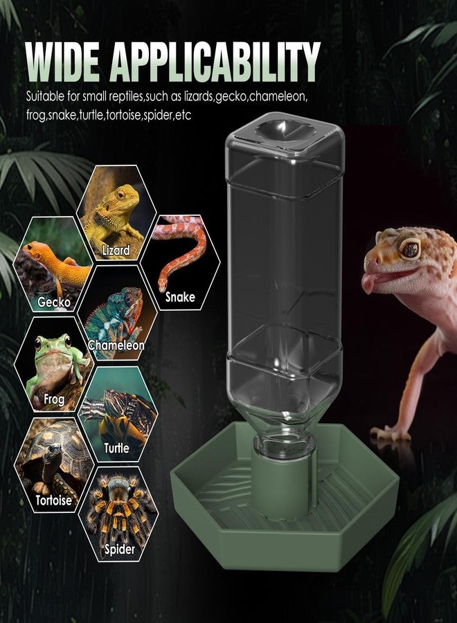 NOMOY Reptile Water Dispenser-Bearded Dragon Water Bowl - Small Water Dish for Tortoise - Bowls for Reptiles & Amphibians (S) - Image 5
