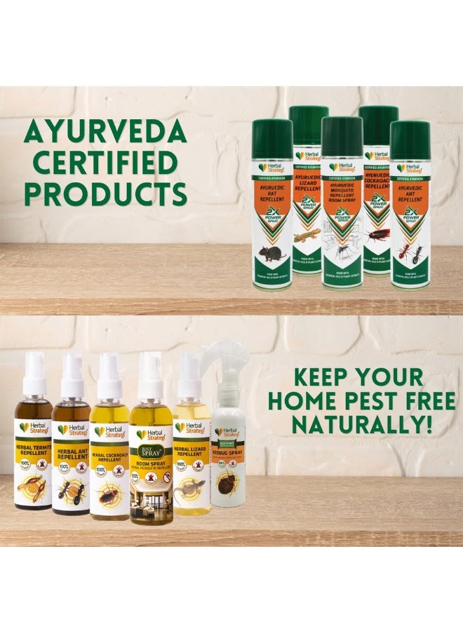Herbal Strategi STRATEGI Herbal Strategi Lizard Repellent 100 ml Pack of 2 - Image 4