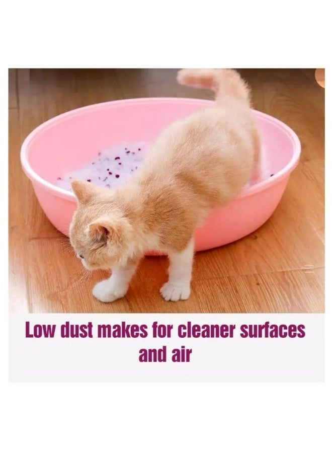 Cute Cat Crystal Silica Cat Litter - Odor Control Baby Powder Scent - Image 2