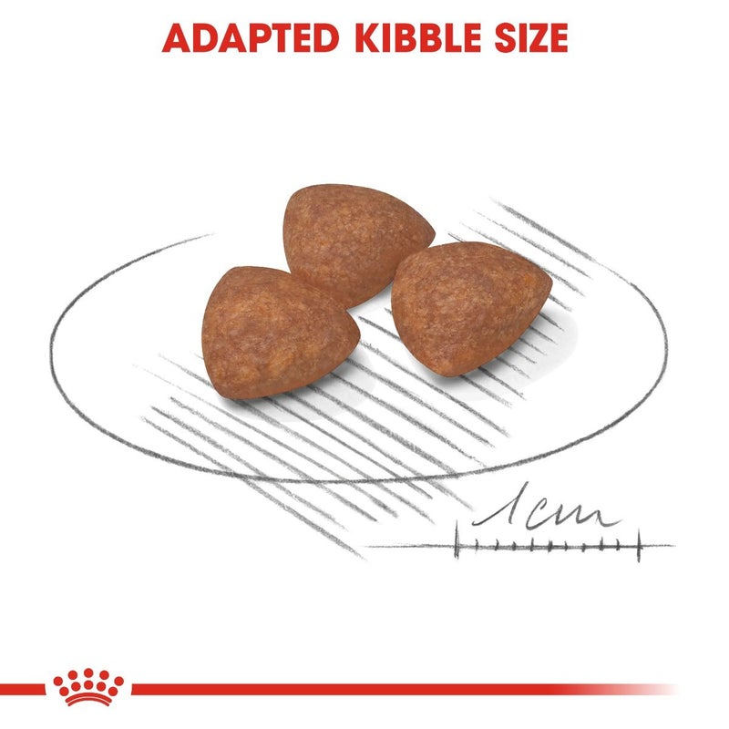 رويال كانين طعام جاف للجراء من رويال كانين ميني إندور، (حتى وزن 10 كجم)، 1.5 كجم - Image 2