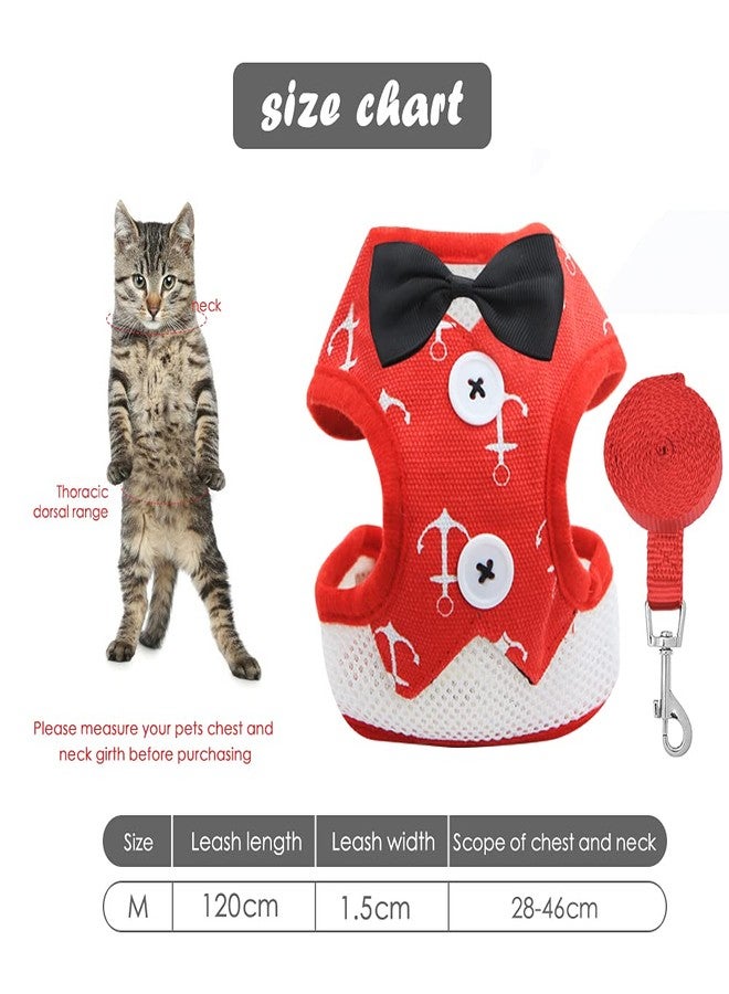 فلايان طقم فلايان ثلاثي من أحزمة ومقود القطط، سترة ناعمة قابلة للتعديل مانعة لهروب الجراء، سترة للمشي مع فيونكة للقطط الصغيرة والمتوسطة الحجم والجراء - Image 3